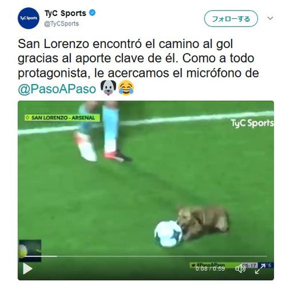 ワンコがプロのサッカー試合に乱入！ 天才的なドリブルテクを見せつけて会場がヤンヤの大喝采に!!