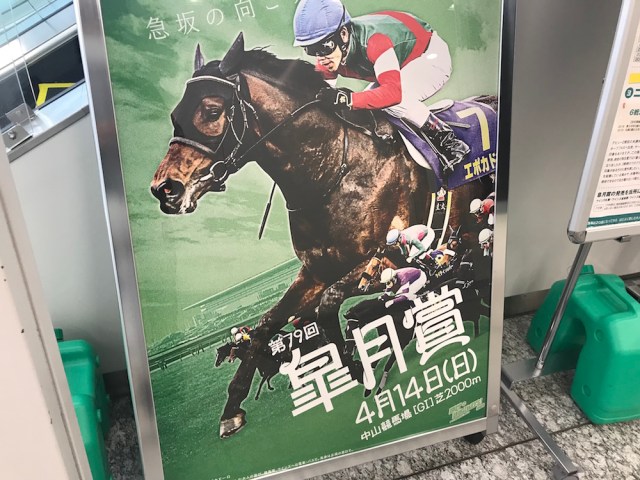 結果あり【競馬予想】6枠12番のサートゥルナーリアを切って一攫千金！ 皐月賞2019で勝負の3連単ボックス攻め