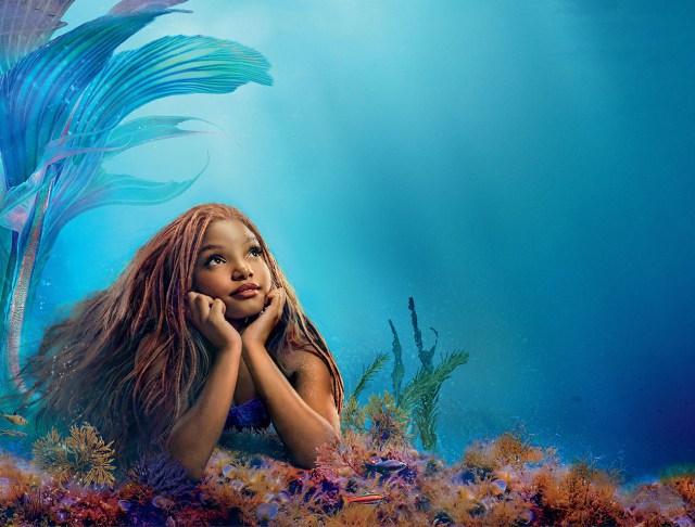 【スゲエ】実写版リトル・マーメイドの英語ハッシュタグ「TheLittleMermaid」を見てみたらヤバイことに → 私「うわああああああああ！」
